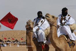 Image du Maroc Professionnelle de  Des hommes du désert s’apprêtent à une course de chameaux organisé dans un site désertique sur lequel la ville de Tan Tan a toujours accueilli la majorité des tribus et des grandes familles nomades du désert lors d'un grand Moussem, Samedi 7 Septembre 2013. Le festival parrainé par l'UNESCO rassemble des milliers de nomades du Maroc. (Photo / Abdeljalil Bounhar) 